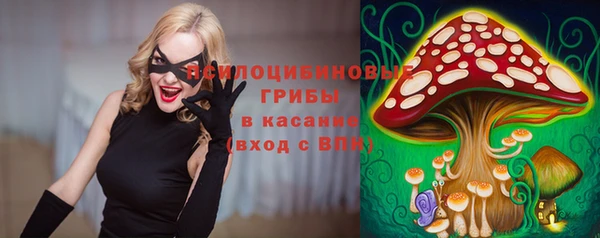 гидропоника Горнозаводск
