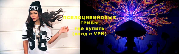 гидропоника Горнозаводск