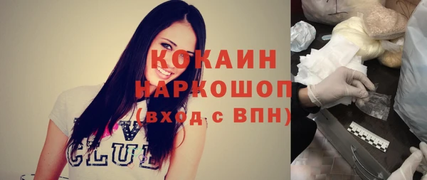 гидропоника Горнозаводск