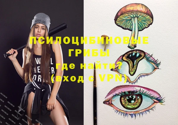 мяу мяу мука Горно-Алтайск