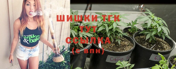 гидропоника Горнозаводск