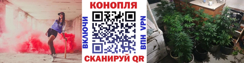 KRAKEN как войти  Далматово  Канабис LSD WEED 